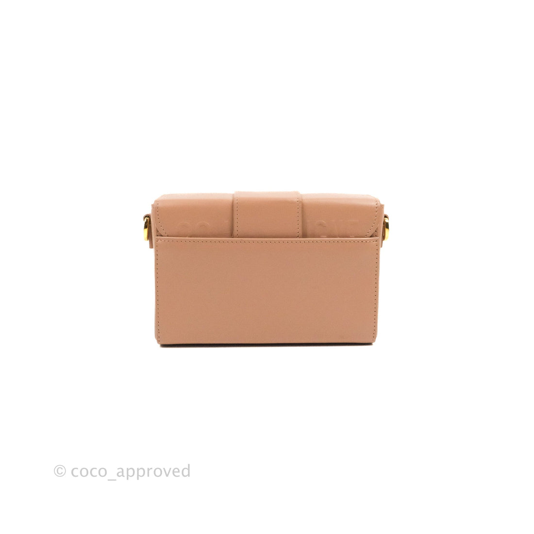 Christian Dior 30 Montaigne Box Bag Rose Des Vents Calfskin
