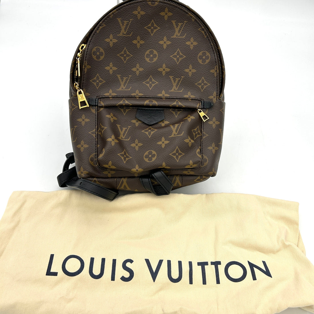 LOUIS VUITTON Monogram Palm Springs PM Backpack LA29433