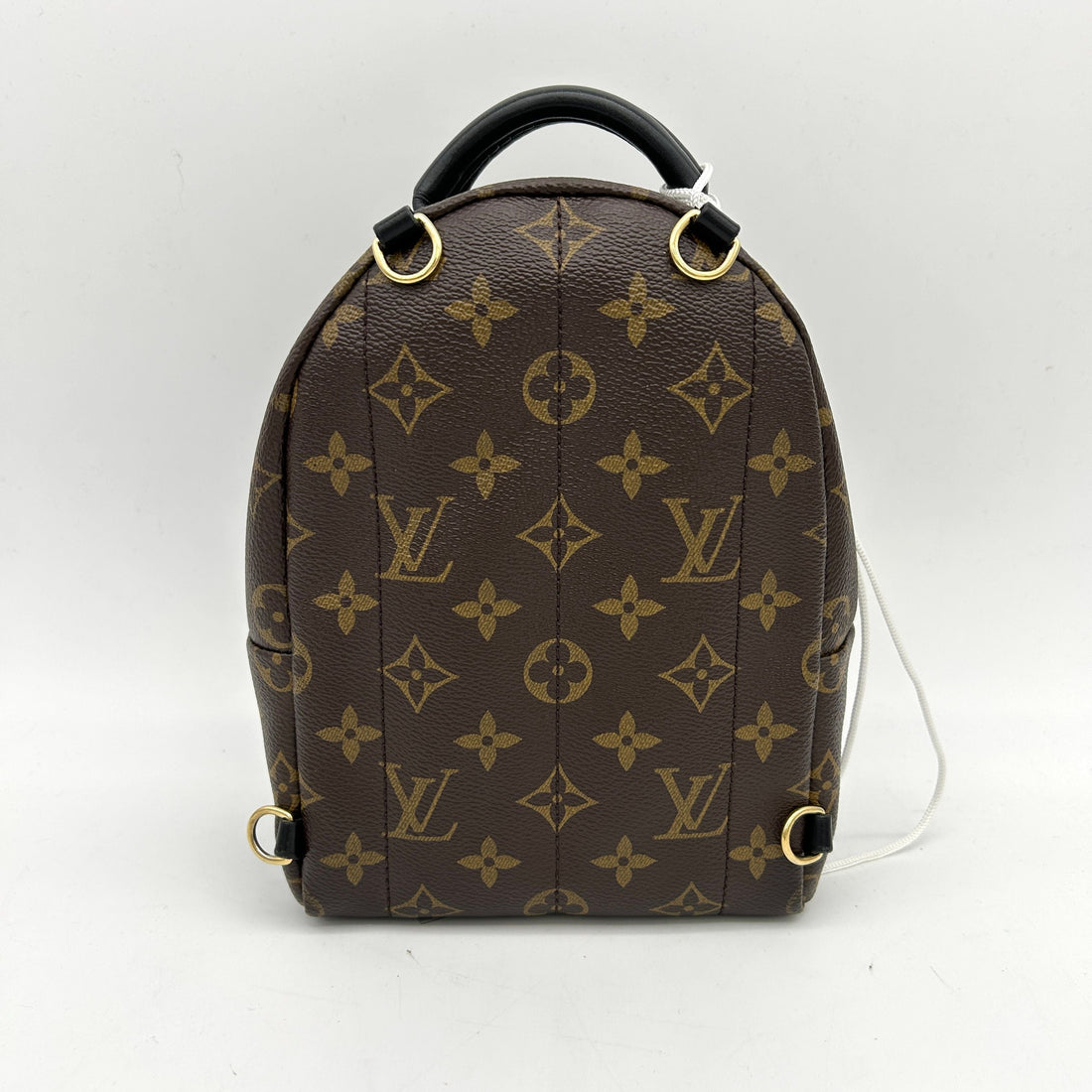 Louis Vuitton LV Monogram Palm Springs LA28323