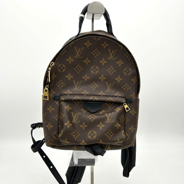 LOUIS VUITTON Monogram Palm Springs PM Backpack LA29433