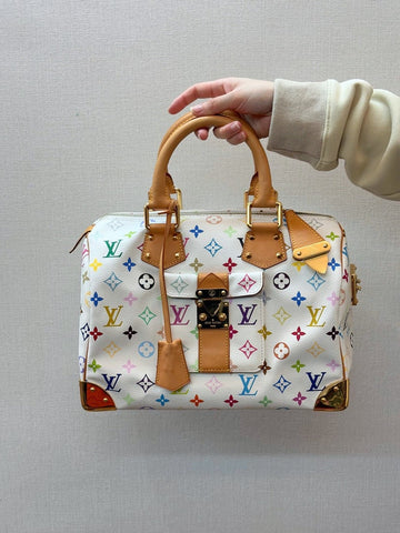 Louis Vuitton Multicolor Speedy 30 Bag
